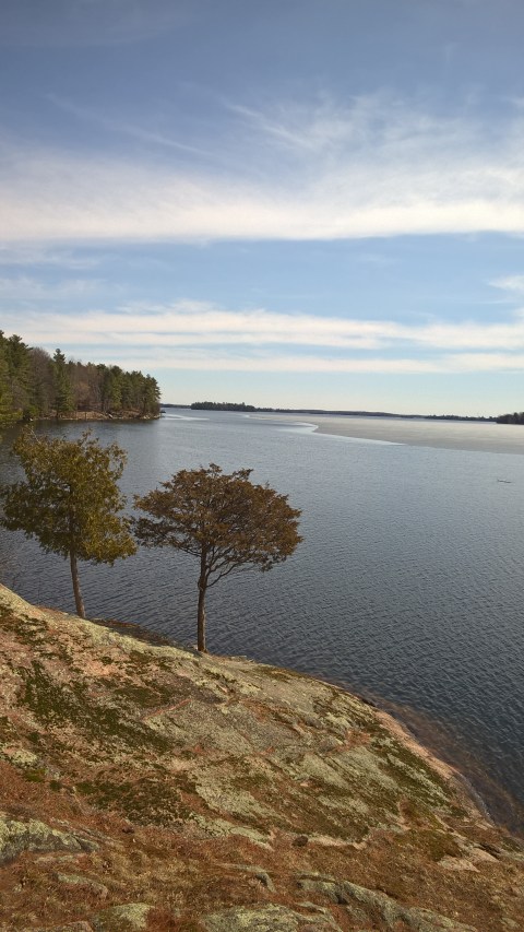 WP_20170409_11_06_42_Pro